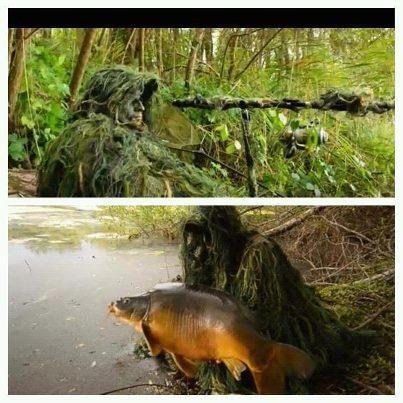 dupa net adunate - 532897111065732421798834693874n.jpg